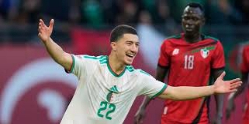 历史数据亮点-多宝娱乐