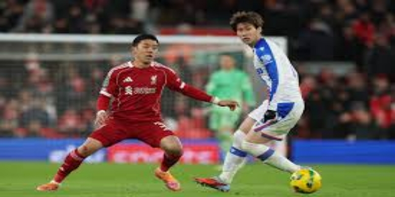 新赛季展望与潜力- 多宝娱乐