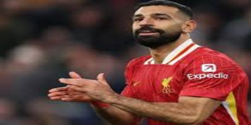 梦想与现实的交汇：乔杜里效应- 多宝娱乐