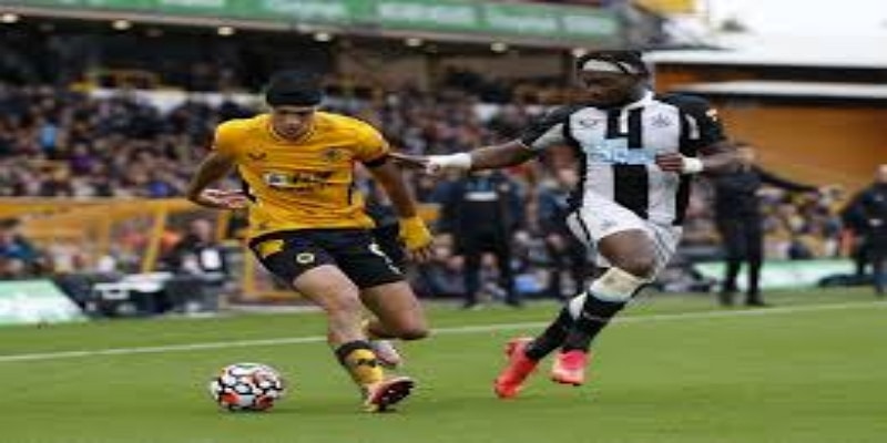 纽卡新赛季展望与专家预测- 多宝娱乐