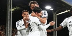 调查进展与社会影响-多宝娱乐