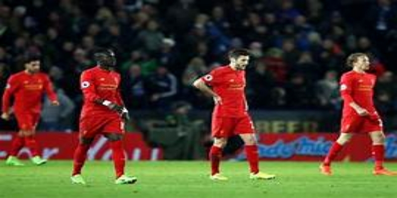 人员选择决定体系上限-多宝娱乐