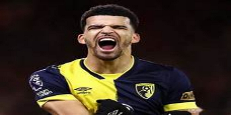 多宝娱乐战术解读：波斯特科格鲁体系中的关键拼图-多宝娱乐